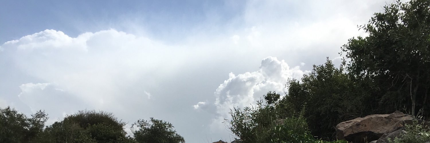 amazq's profile banner image