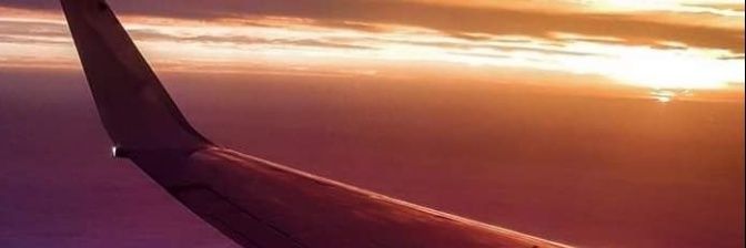 RosalesLuciana's profile banner image