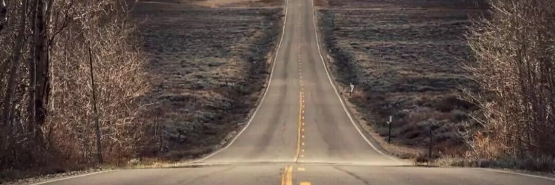 红肠先生！🚶🏻 banner