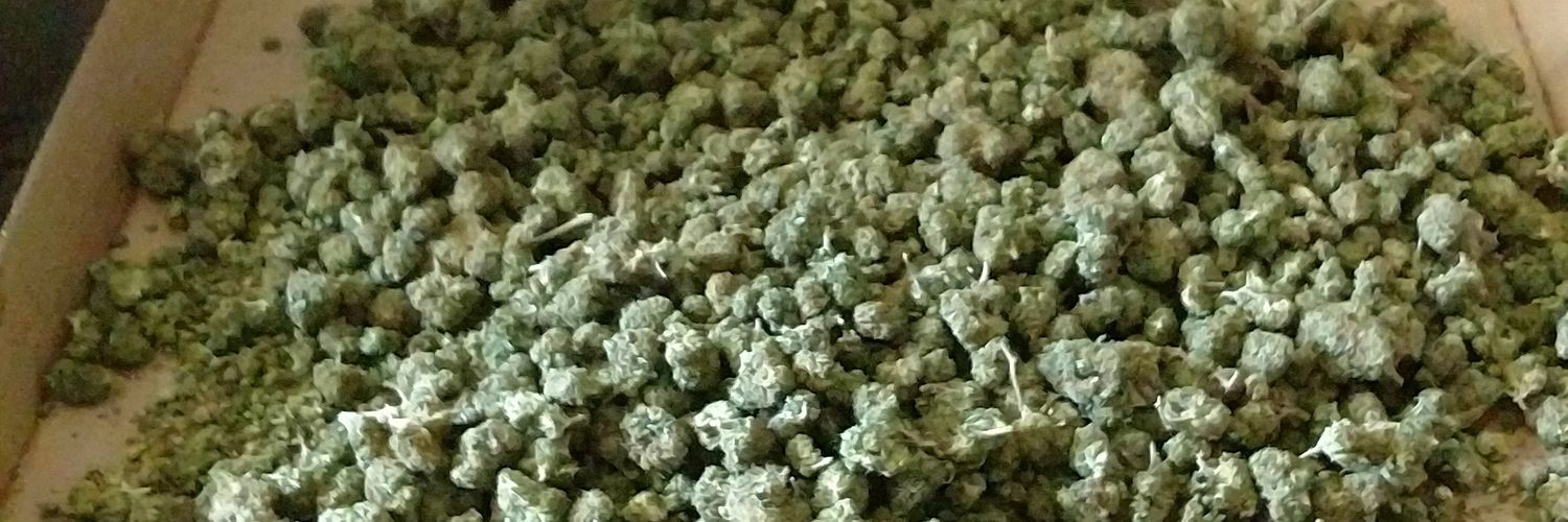 JdizzleSteez's profile banner image