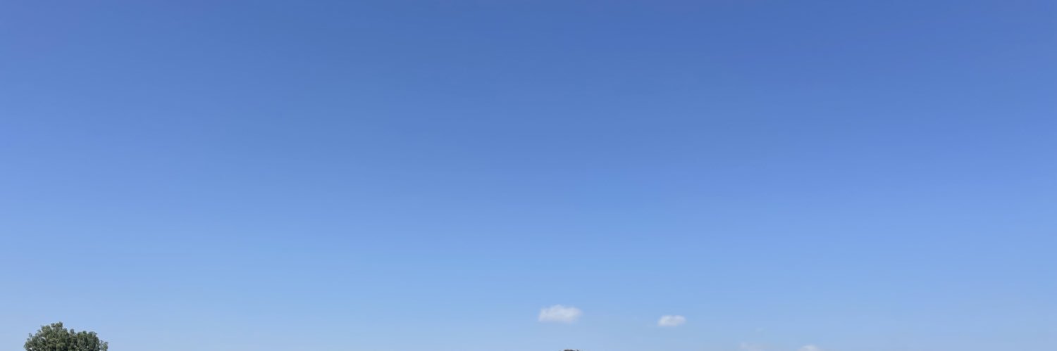 Михаил Моссаковский banner