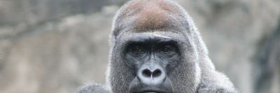 CryptoCoinPortal banner