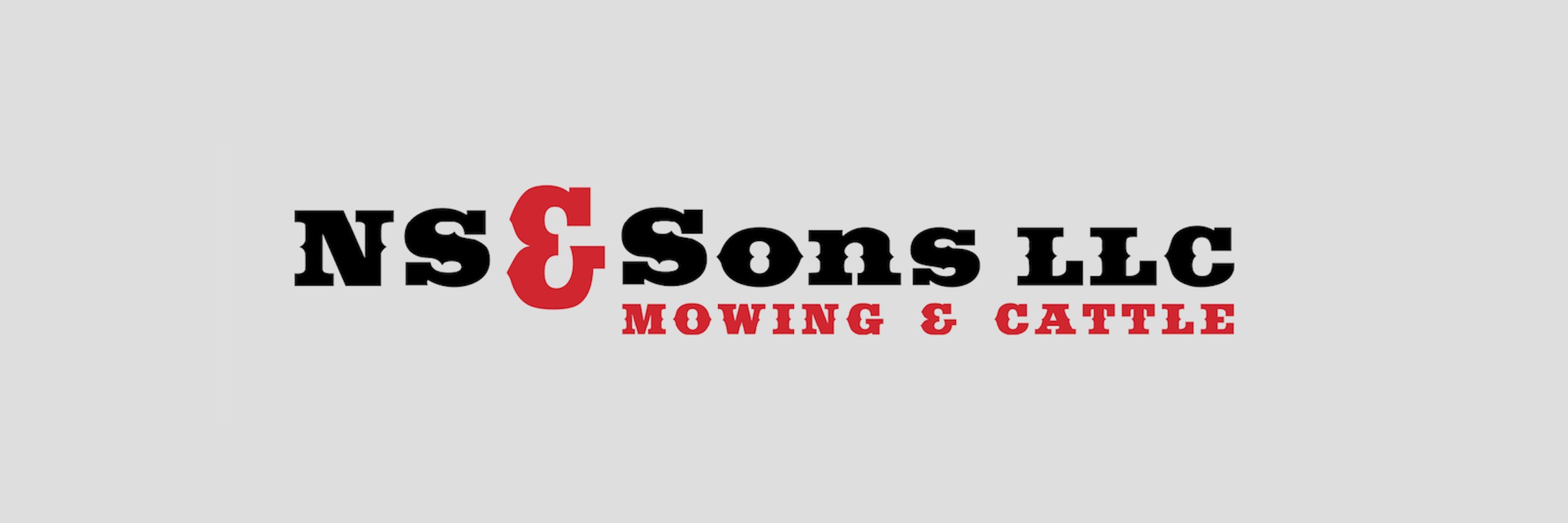 nssonsmows's profile banner image