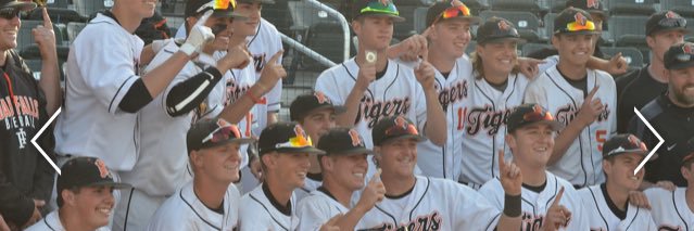 Idaho Falls Baseball banner