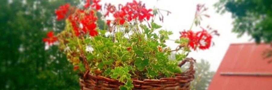 abtisam_'s profile banner image