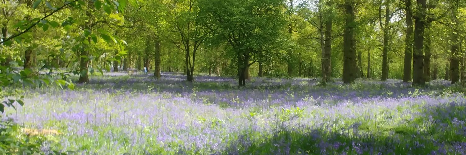 Phillippa Harrison banner