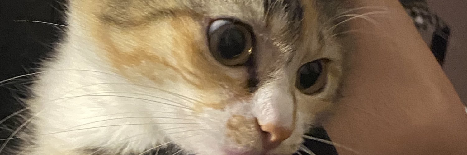 moonxnyl's profile banner image