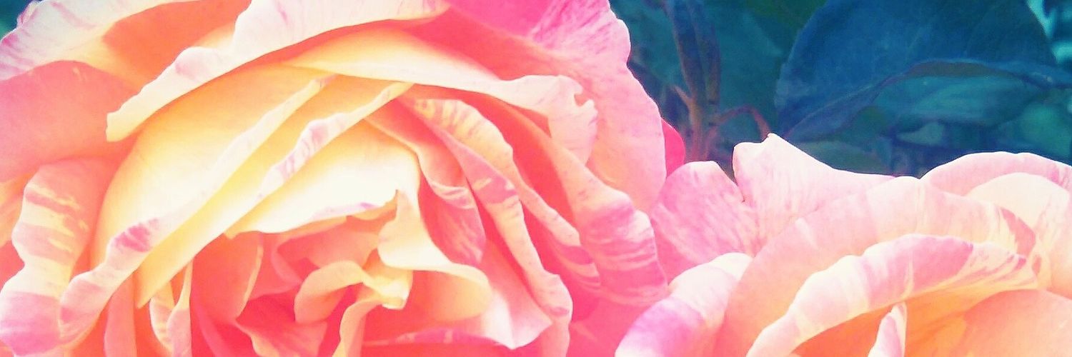 Binderhoffin's profile banner image