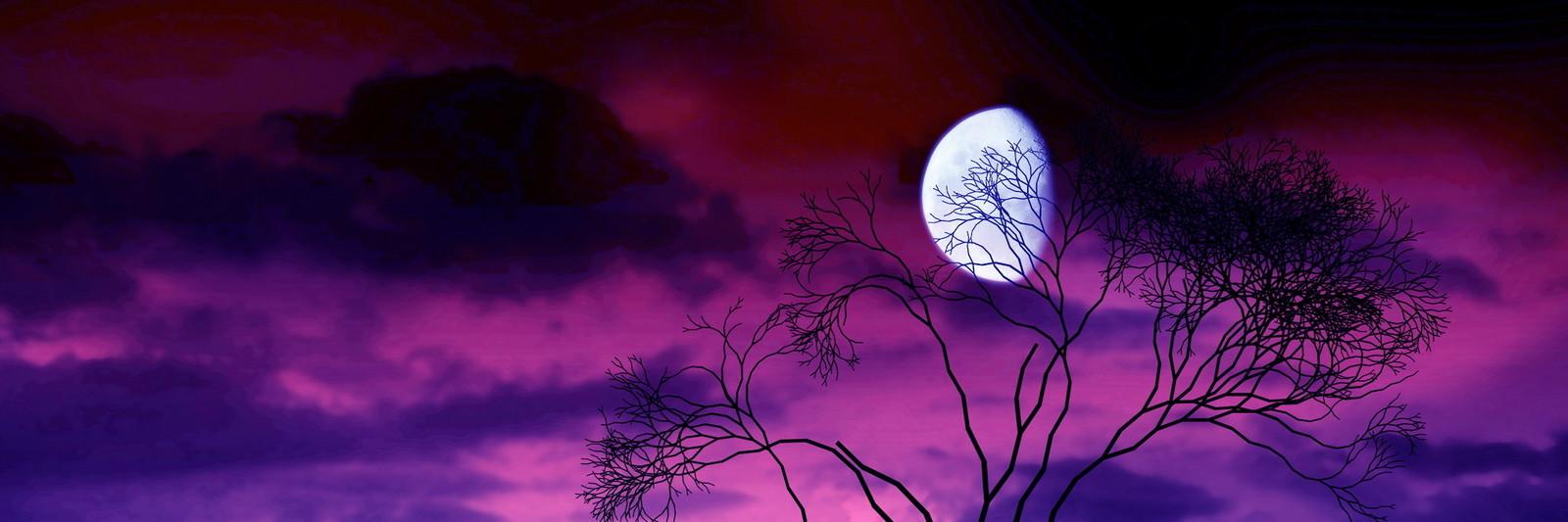 Kristiiniitee's profile banner image