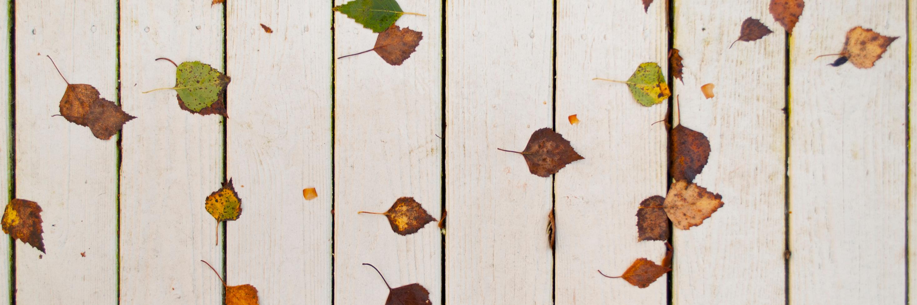 ryan burns @burnsr77.🟦☁️.social banner