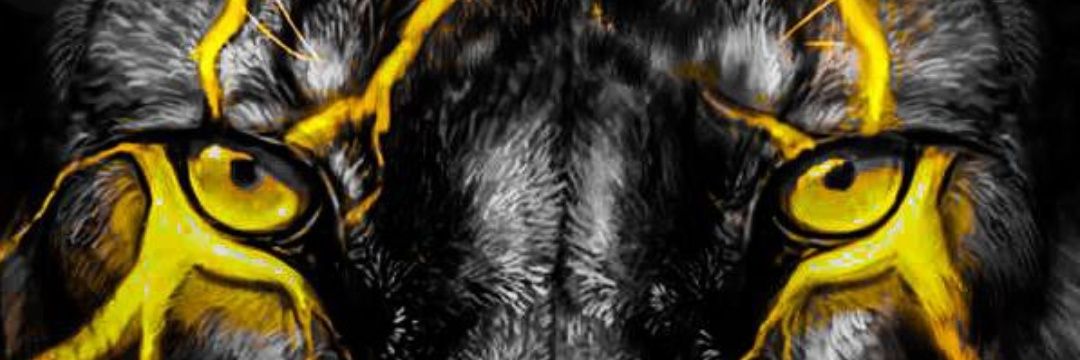 shilow1's profile banner image