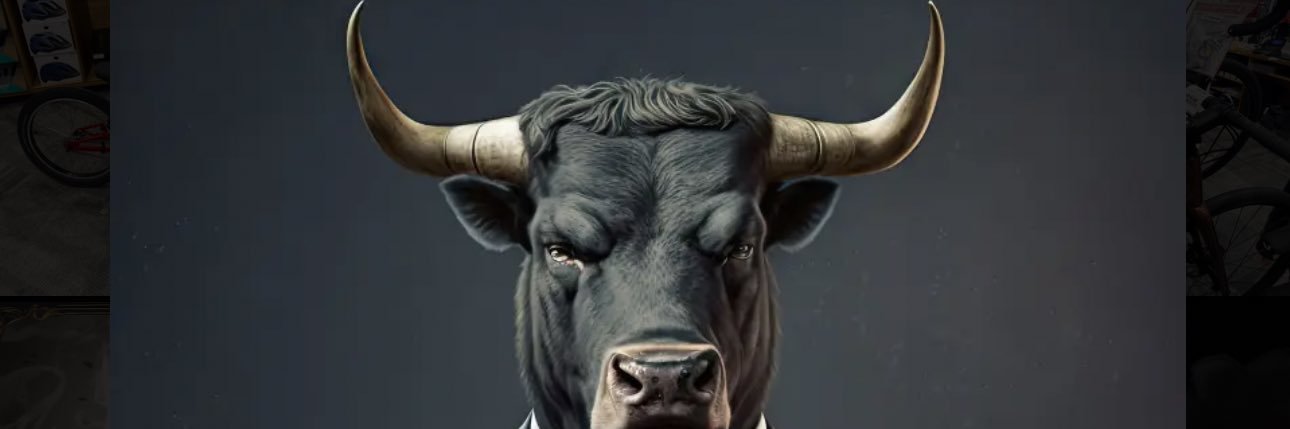 4RAW40 banner