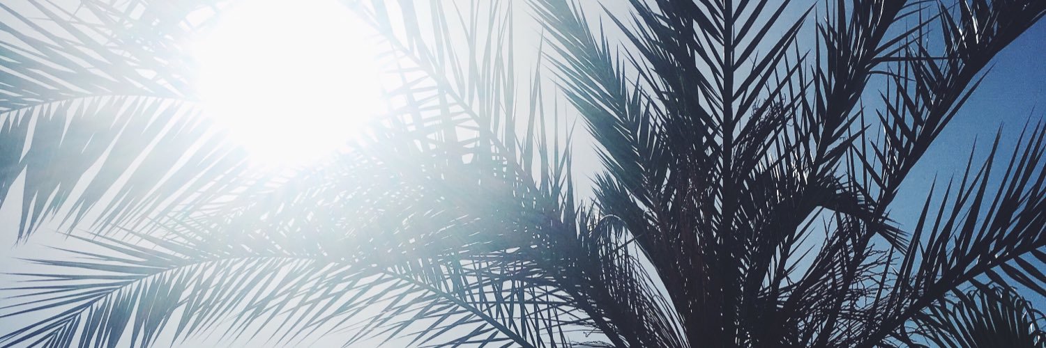 linnw99's profile banner image