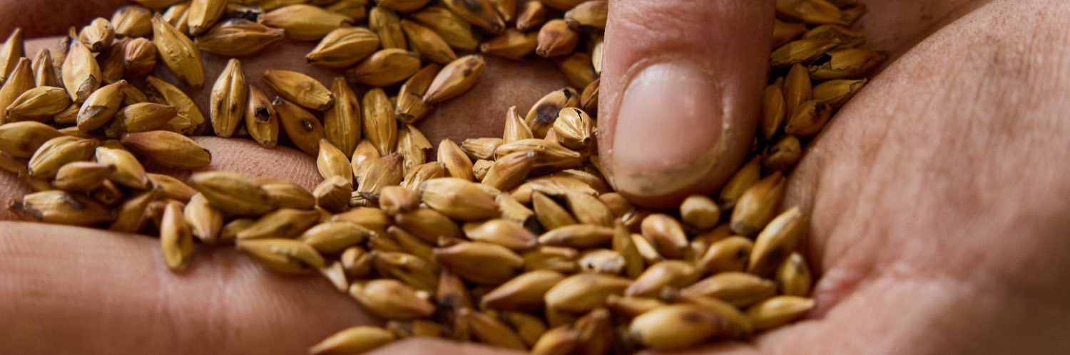Crisp Malt's banner