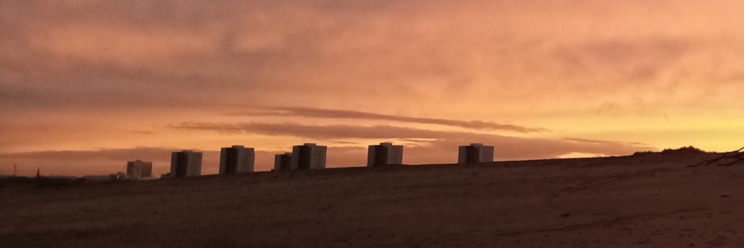 Joanna Vadenbring banner