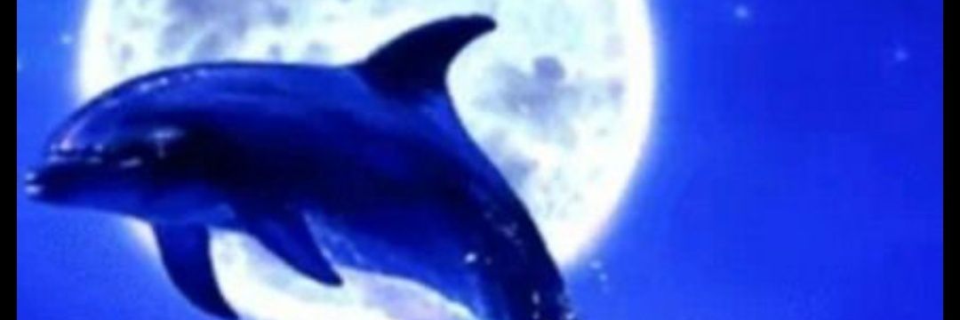 TonucaB's profile banner image