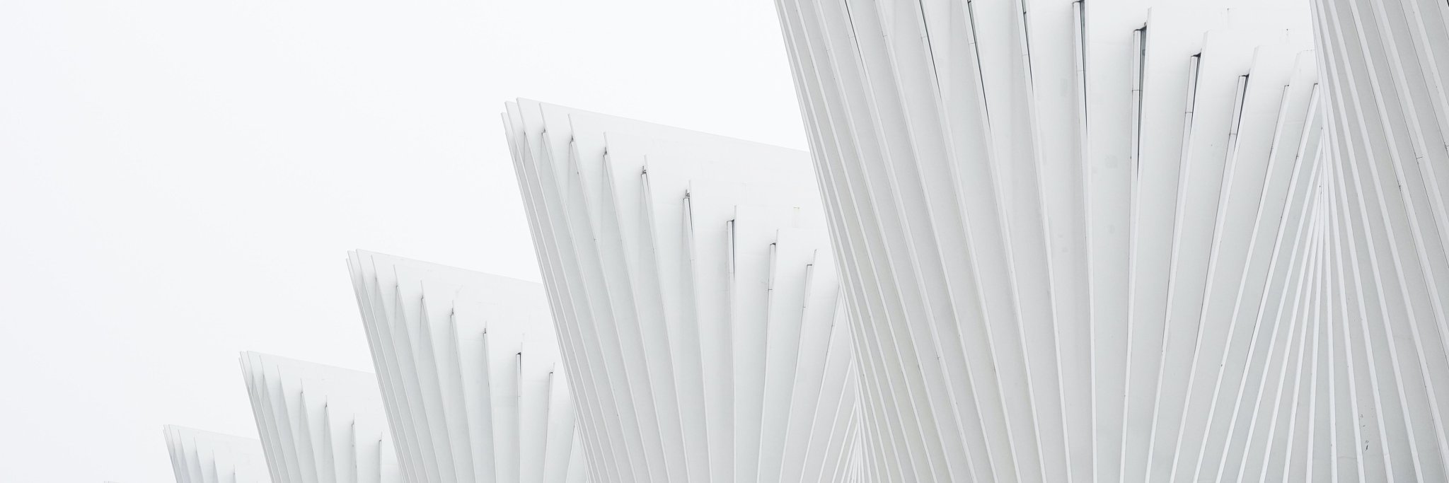 zeynep_kiris's profile banner image