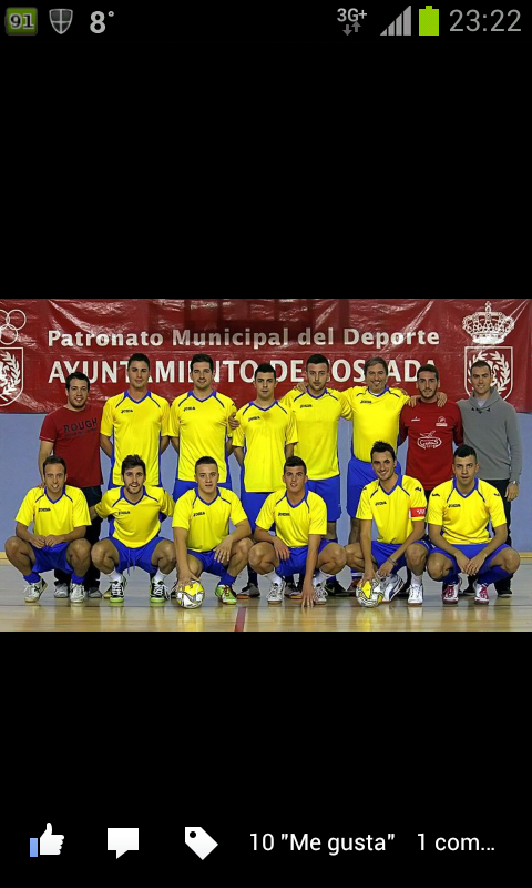 BRASIL F.S. banner