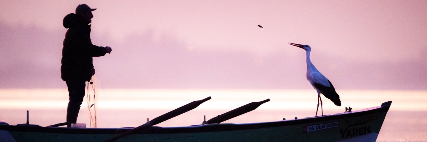 Bora Desidero banner