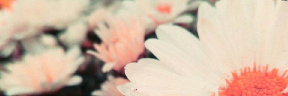 Daddyla86's profile banner image