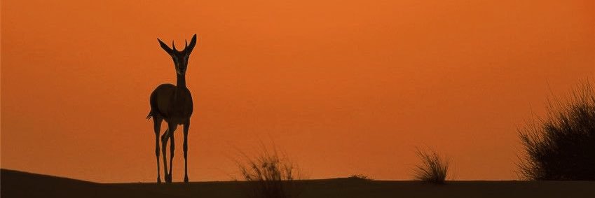 tugbngl's profile banner image