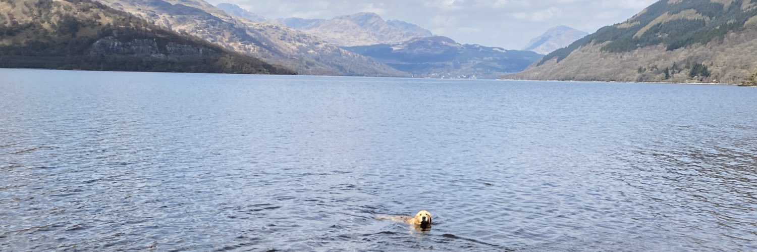 Andrea Wyllie QN banner