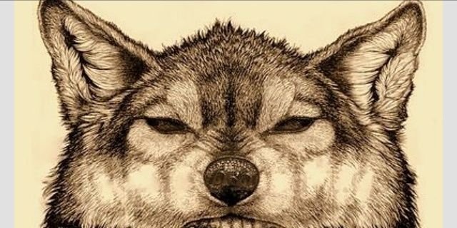 cforry88's profile banner image