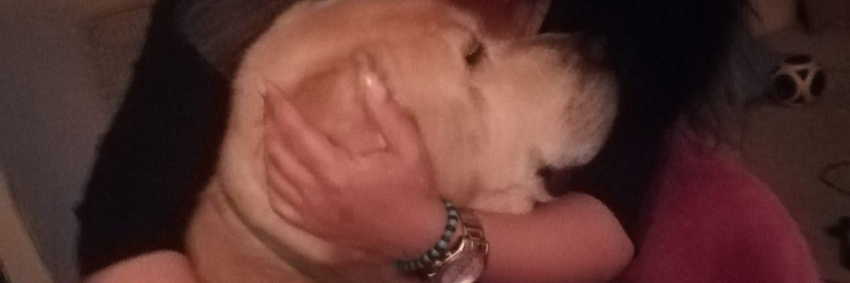 GoofyBgd1's profile banner image