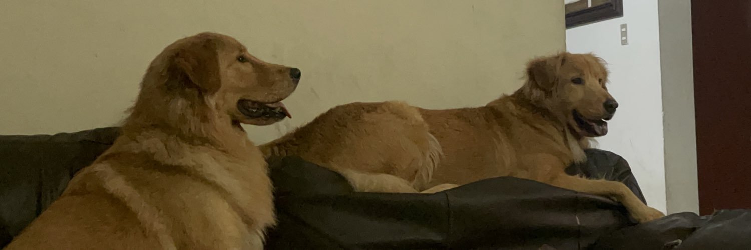 camilaaam__'s profile banner image