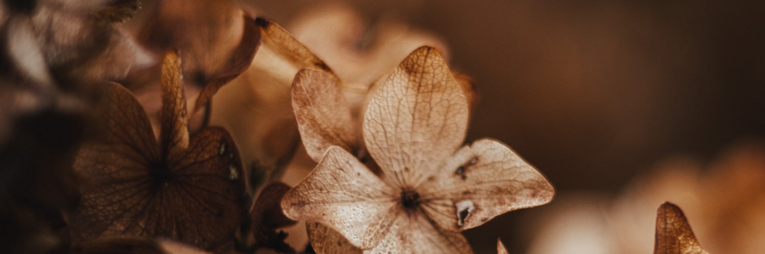 marinavazquezok's profile banner image