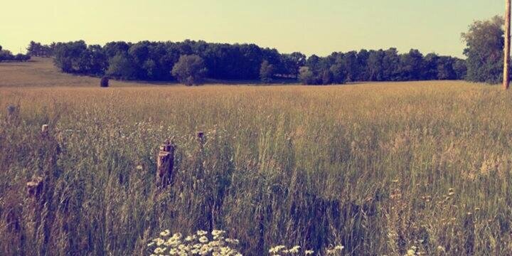 PhilAllebach's profile banner image