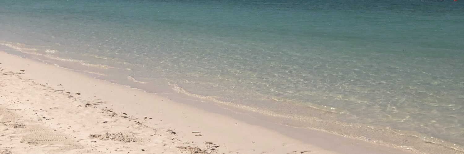 emily hollingworth 💙 banner