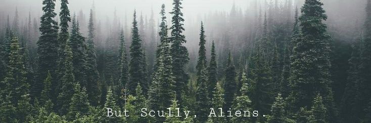 𝕃𝕍𝕆's banner