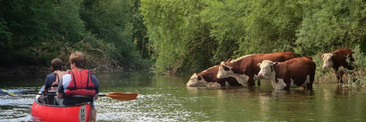 James Corrigan banner
