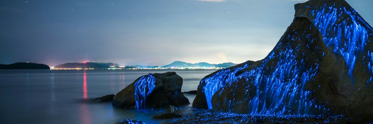 Ivano_marcato's profile banner image