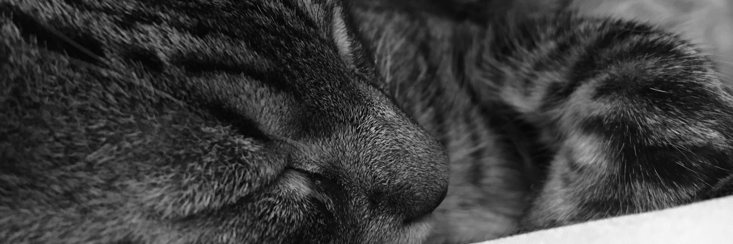 AndreaPitus's profile banner image