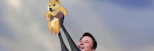 1000Dogecointo's profile banner image