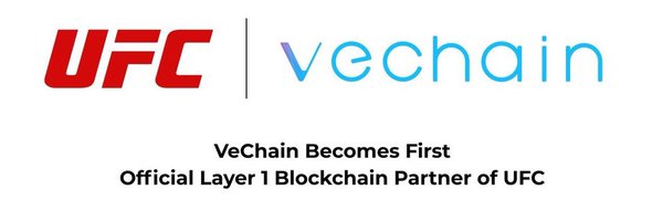 VechainAurelius Profile Banner