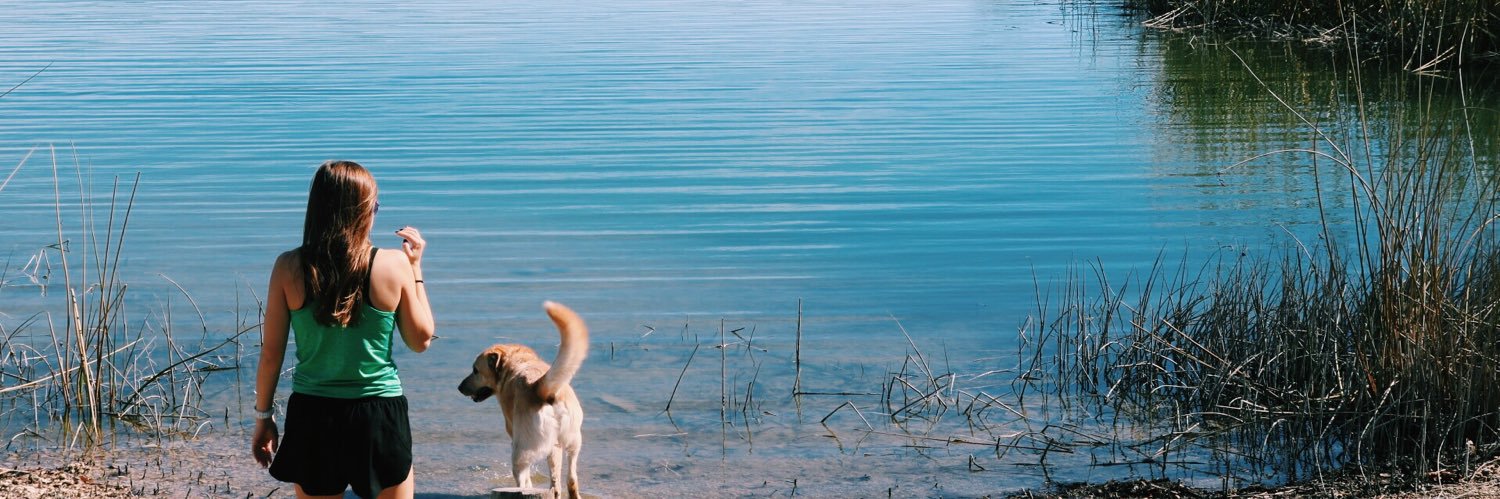csteele02's profile banner image