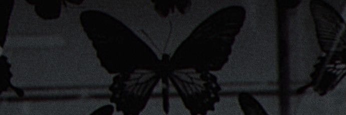 _daitya's profile banner image