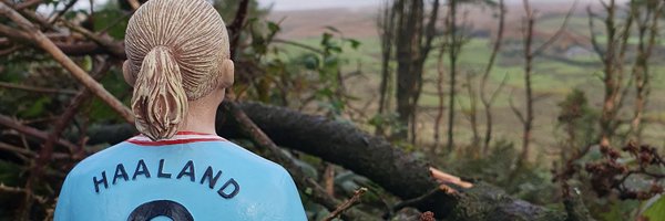 thegingerwig Profile Banner