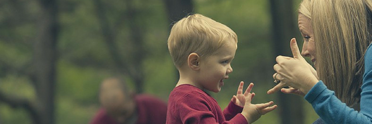 Treeschoolers's profile banner image