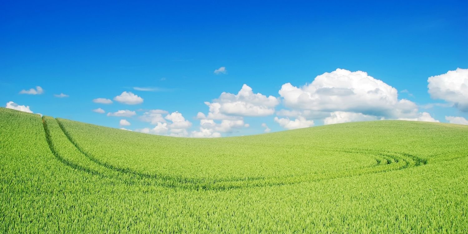 guzzbara's profile banner image