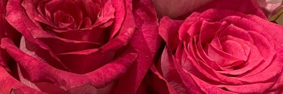 princessghudyan's profile banner image