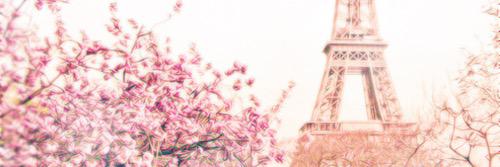 RECKLESSTRAMP's profile banner image