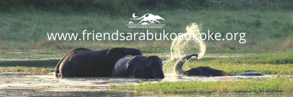 Friends of Arabuko-Sokoke Forest (FoASF) Profile Banner