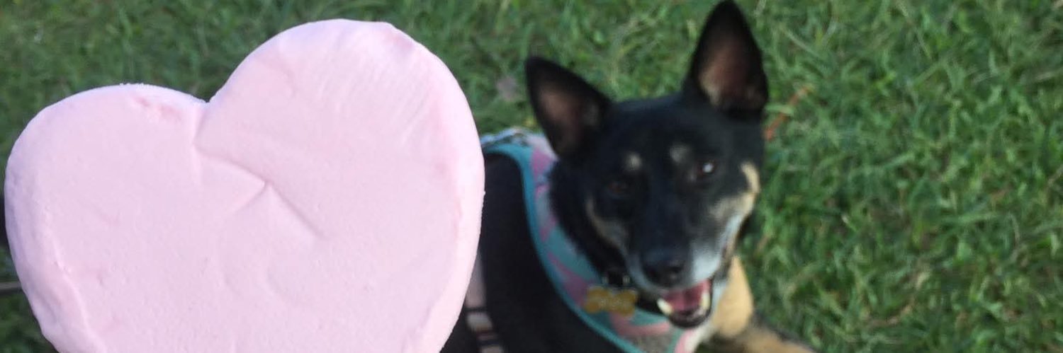 lauracesconetto's profile banner image