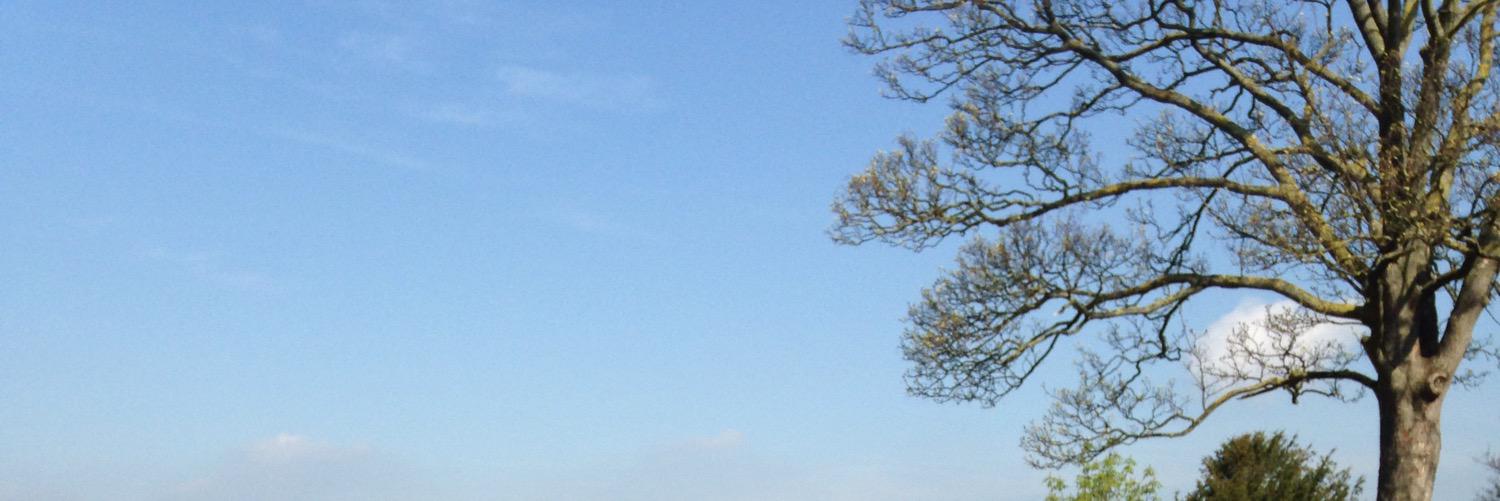 BeckyMayHowarth's profile banner image