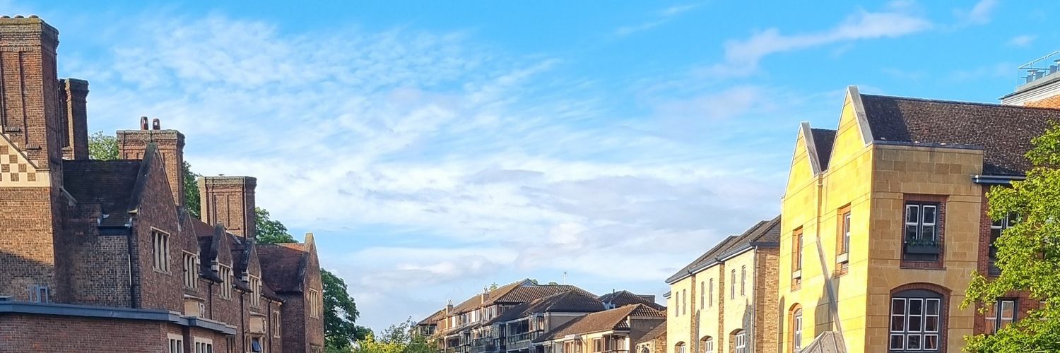 Dianantzin banner