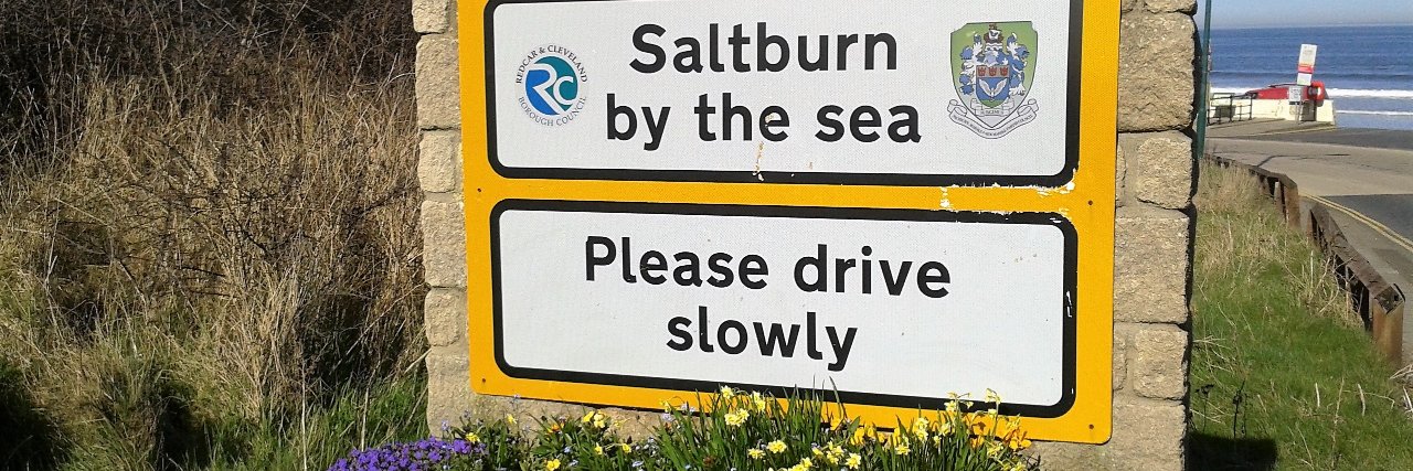 Saltburn in Bloom banner